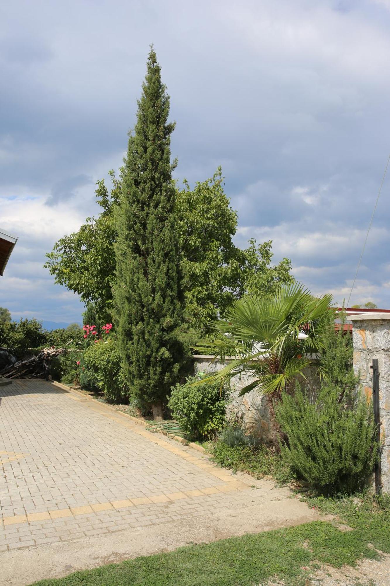 Villa Goriza Prestige Ochrid Exteriér fotografie